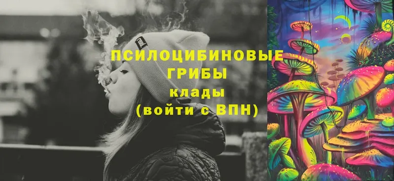 blacksprut как зайти  закладка  Болгар  Галлюциногенные грибы Psilocybe 